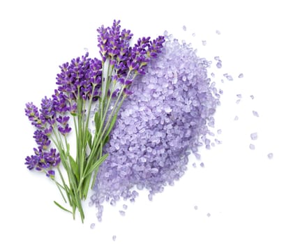 Lavender flowers and salt isolated on white background. Top view