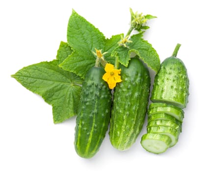Fresh ground cucumbers with leaves and flowers isolated over white background. Top view