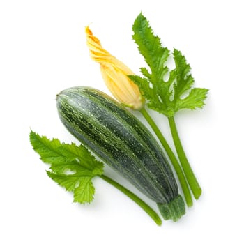 Fresh zucchini with flower and leaves isolated on white background. Top view