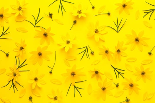 Yellow flowers background. Coreopsis verticillata zagreb. Flat lay, top view
