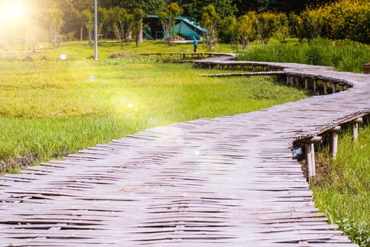 Curve Bamboo Bridge. Curved wooden bridge at park in paddy field