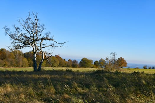 View of the autumnal Rhön