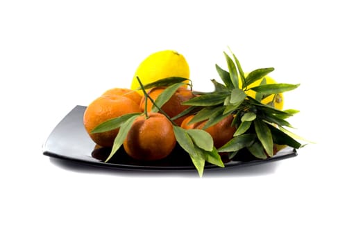 Still Life, tangerine and lemon beautifully decomposition on a large plate