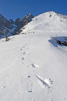Mountains in winter with cable car