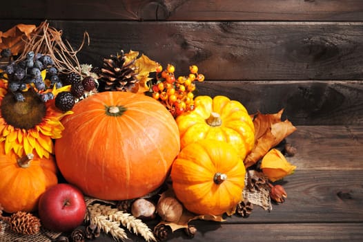 Thanksgiving - various pumpkins with nuts,berries and grains in front of a wooden wall