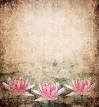 Water Lily on dirty grunge textured background
