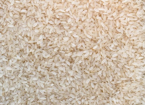 Uncooked rice. It can be used as concepts or backgrounds.