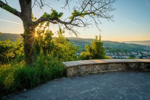 Sunrise between an old tree with sunstars and blue sky