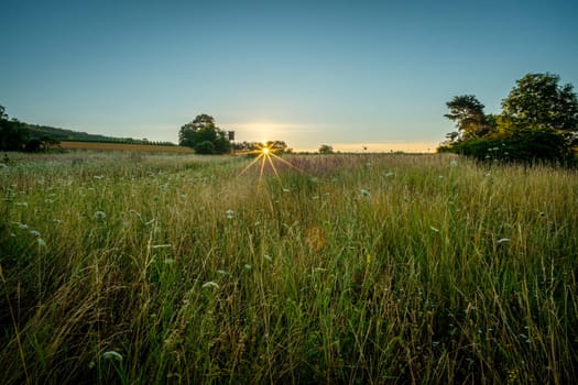 Sunrise with sunstar over a summer meadow landscape