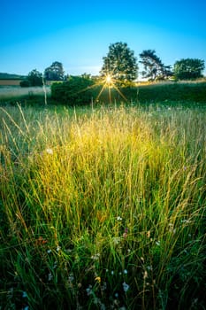 Sunrise over a summer meadow landscape in vertical format