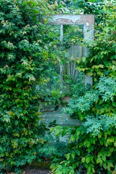 Front door grown with green plants in vertical format