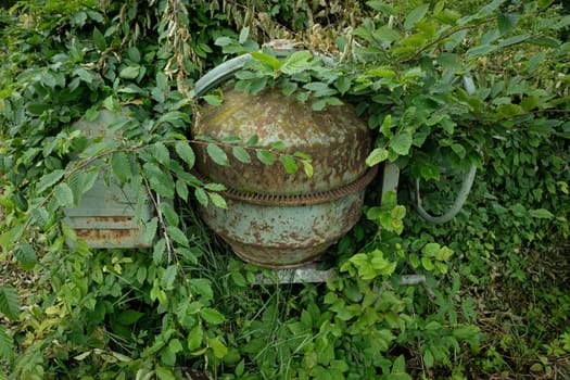 Old cement mixer with rust grown with green plants close-up