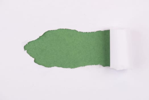 White torn paper, green background, empty copy space, ripped sheet