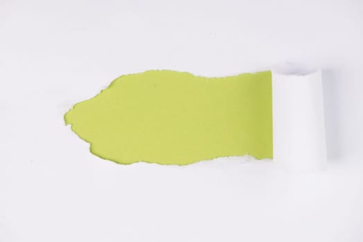 White torn paper, green background, empty copy space, ripped sheet