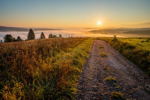 Road and meadow in sunrise with sunstar and fog in valley landscape