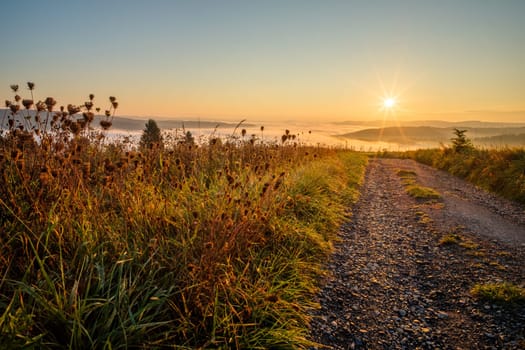 Meadow and road in foggy sunrise with sunstar landscape scene
