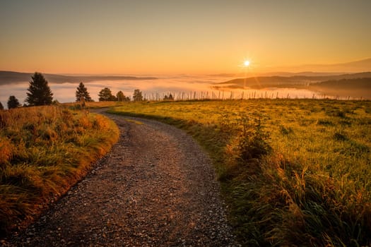 Road meadow valley mist sunstar sunrise scene landscape