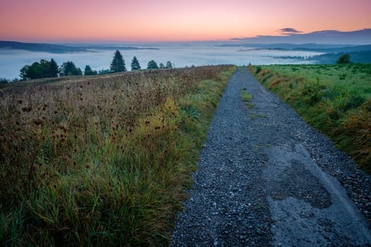 Morning dawn blue hour landscape with fog in the valley