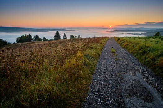 Road meadow landscape with view on misty valley in sunrise scene