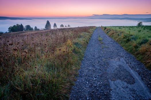 Blue hour dawn landscape with mist in the valley scenery