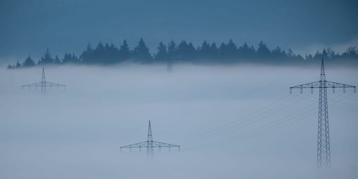 Power poles in dawn fog with forest trees scene