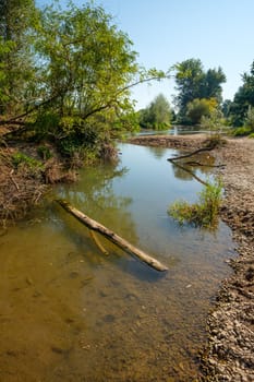 River Rems with wood in water landscape