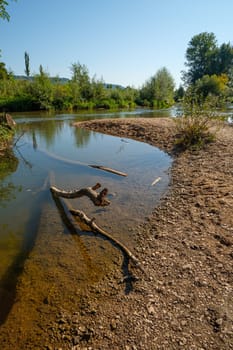 German river Rems with dead wood in water vertical format