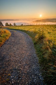 Sunrise over a field road and meadow with fog landscape