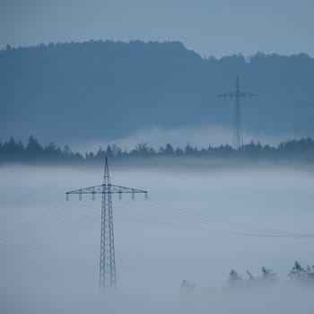 Power Pole in foggy landscape with trees in dawn