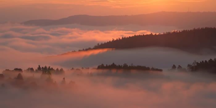 Autumn mist landscape in sunlight back lit scene