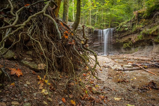Roots in front of a waterfall cascade in german forest