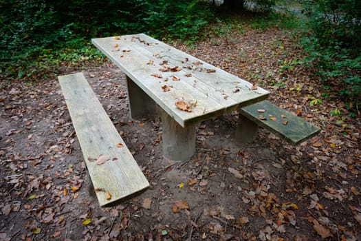 Wooden table and bench funiture in a forest