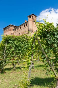 Vineyard in Piedmont Region, Italy, with Grinzane Cavour castle in the background. The Langhe is the wine district of Barolo wine.