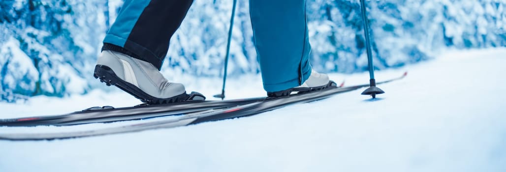 Skier foots in skis in the snowy winter forest. Concept of vacation and weekend.