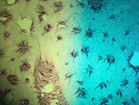 abstract background fantasy illusion rarity imagination virus bacteria sensation