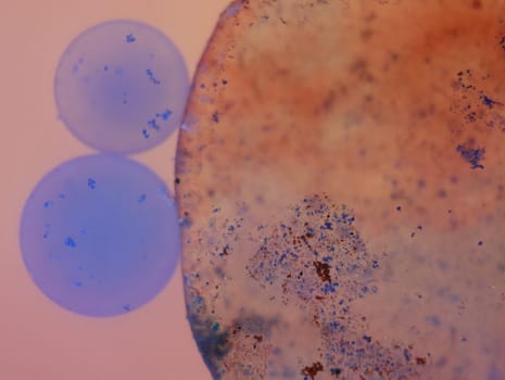 abstract background fantasy illusion rarity imagination virus bacteria sensation