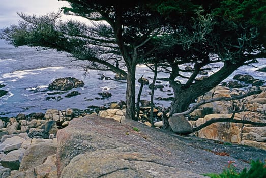 Point Lobos, California