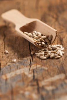 Peeled sunflower seeds with a small wooden shovel on a surface made of old wood in a vertical orientation at aperture 7.