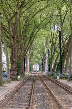rails of streetcars in Duesseldorf, Germany