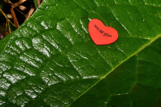 save our nature, heart on green leaf