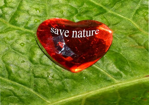 save our nature, heart on green leaf