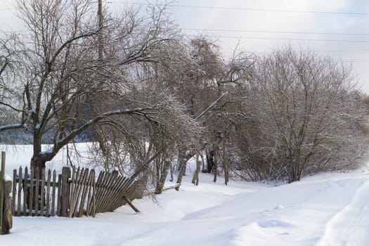 Frozen morning winter landscape with fence, village of Belarus