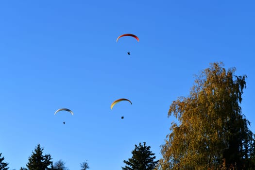 Paragliding