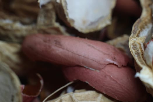 Empty peanut shells spread over floor. Peanut Shell Background.