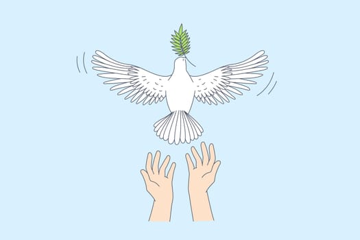 Freedom and releasing good news concept. Human hands letting white pigeon with green leaf in beak go over blue sky background vector illustration