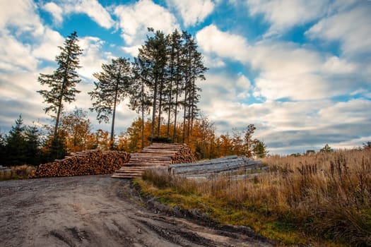 Countryside landscape with a heap of timbers. Forest after harvesting. Czech Republic, Vysocina