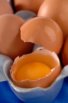 yolk and egg white
