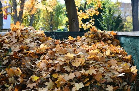 collected leaves on a trailer