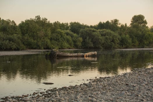 Summer sunset on the river , sunset by the water.