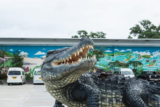 Portrait of freshwater Crocodile in a crocodile farm in Thailand, Phuket, in the farm feeding the Crocodylus with raw chicken, this is one of the best tourist attraction in Phuket